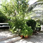 Eco-apartments With Garden Lejlighed Baška Voda